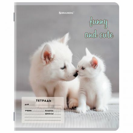 Тетрадь 12 л. BRAUBERG косая линия, обложка картон, CATS AND DOGS, 107288 Тетрадь 12 л. BRAUBERG косая линия, обложка картон, CATS AND DOGS, 107288
