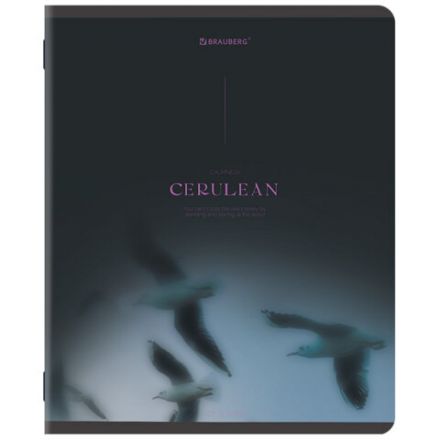 Тетрадь А5, 48 л., BRAUBERG, скоба, клетка, SoftTouch, "Peaceful", (микс в спайке), 405327 Тетрадь А5, 48 л., BRAUBERG, скоба, клетка, SoftTouch, "Peaceful", (микс в спайке), 405327