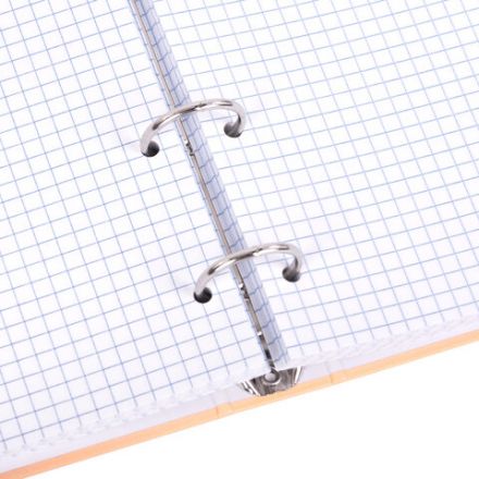 Тетрадь на кольцах А5 165х215 мм, 120 листов, твердый картон, клетка, BRAUBERG, "Pastel Flower", 404710 Тетрадь на кольцах А5 165х215 мм, 120 листов, твердый картон, клетка, BRAUBERG, "Pastel Flower", 404710