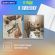 Тетради предметные, КОМПЛЕКТ 12 ПРЕДМЕТОВ, 48 л., SoftTouch, BRAUBERG, "ESTHETICS", 404833