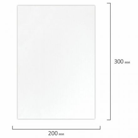 Холст на подрамнике акварельный BRAUBERG ART CLASSIC,20х30, 240г/м, 100% хлопок,мелкое зерно, 191667