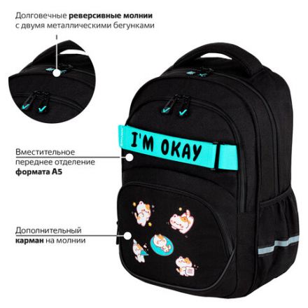 Рюкзак BRAUBERG MOTION, 2 отделения, 3 кармана, "Positive cats", 41х28х17 см, 273114