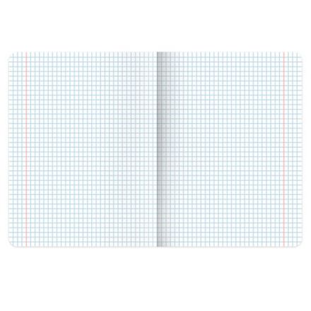 Тетради предметные, КОМПЛЕКТ 12 ПРЕДМЕТОВ, 48 л., глянцевый УФ-лак, BRAUBERG, "PIGMENT", 404834