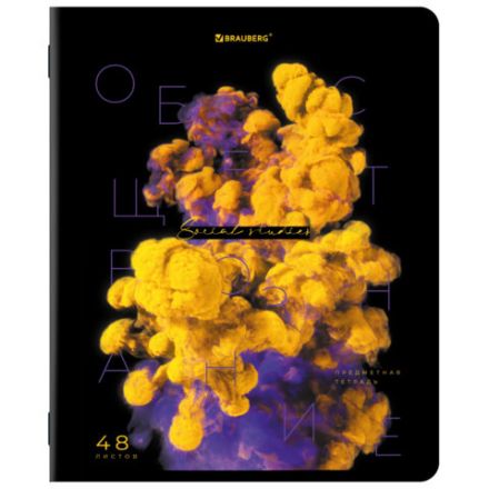 Тетради предметные, КОМПЛЕКТ 12 ПРЕДМЕТОВ, 48 л., глянцевый УФ-лак, BRAUBERG, "PIGMENT", 404834