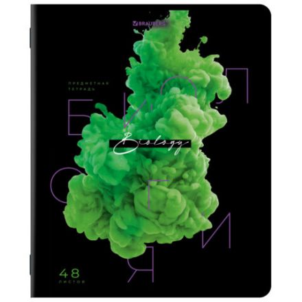 Тетради предметные, КОМПЛЕКТ 12 ПРЕДМЕТОВ, 48 л., глянцевый УФ-лак, BRAUBERG, "PIGMENT", 404834