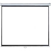Экран Lumien (LEP-100108) [Eco Picture] настенный, 1:1, 180х180см