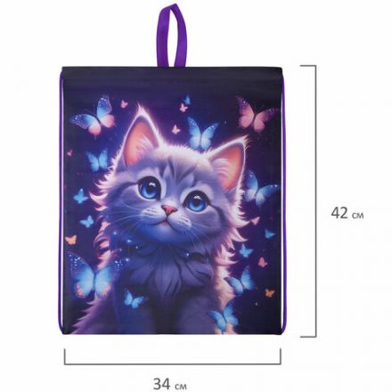 Мешок для обуви BRAUBERG KIDS, с петлей, 42х34 см, "Curious cat", 273434 Мешок для обуви BRAUBERG KIDS, с петлей, 42х34 см, "Curious cat", 273434