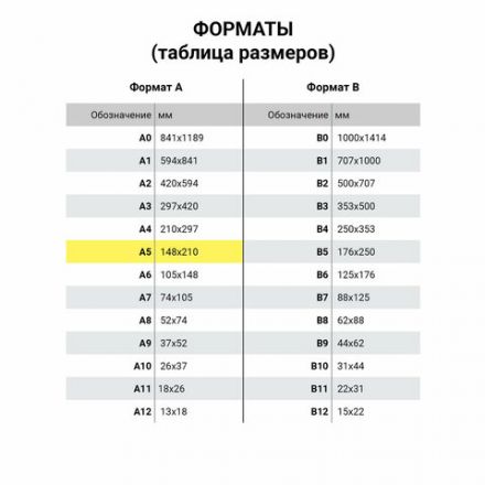 Тетради 40 л. в линию обложка SoftTouch, НАБОР 3 шт., бежевая бумага 70 г/м2, сшивка, А5 (147х210 мм), FLORA, BRAUBERG, 403798