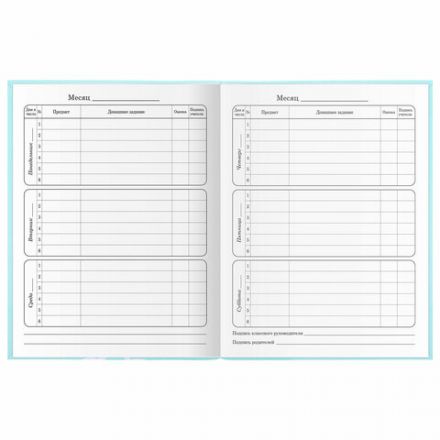 Дневник 1-4 класс 48 л., гибкая обложка, ЮНЛАНДИЯ, выборочный лак, с подсказом, "Little Princess", 106344