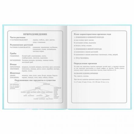 Дневник 1-4 класс 48 л., гибкая обложка, ЮНЛАНДИЯ, выборочный лак, с подсказом, "Little Princess", 106344