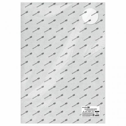 Бумага для акварели 300 г/м2 460x660 мм крупное зерно, 10 листов, BRAUBERG ART PREMIERE, 113234 Бумага для акварели 300 г/м2 460x660 мм крупное зерно, 10 листов, BRAUBERG ART PREMIERE, 113234