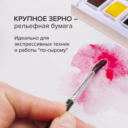Бумага для акварели 300 г/м2 460x660 мм крупное зерно, 10 листов, BRAUBERG ART PREMIERE, 113234 Бумага для акварели 300 г/м2 460x660 мм крупное зерно, 10 листов, BRAUBERG ART PREMIERE, 113234