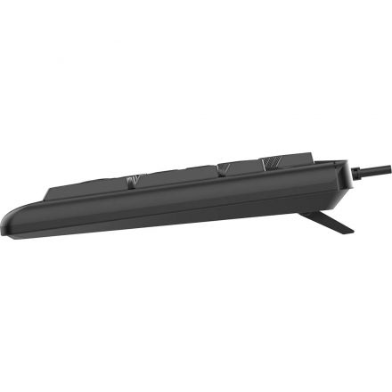 Клавиатура Acer OKW501 черный USB Multimedia (ZL.KBDEE.01U) каб.:1.8м Клавиатура Acer OKW501 черный USB Multimedia (ZL.KBDEE.01U) каб.:1.8м