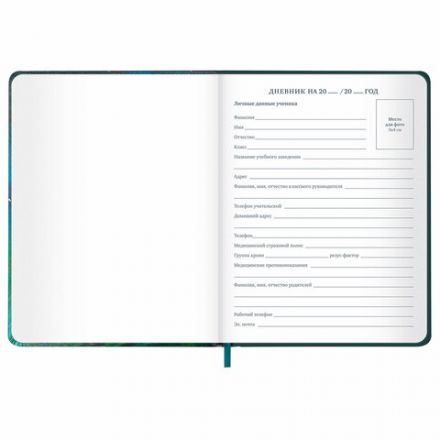 Дневник 1-11 класс 48 л., кожзам (твердая с поролоном), печать, резинка, конверт, BRAUBERG, "Мечты", 106949