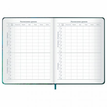 Дневник 1-11 класс 48 л., кожзам (твердая с поролоном), печать, резинка, конверт, BRAUBERG, "Мечты", 106949