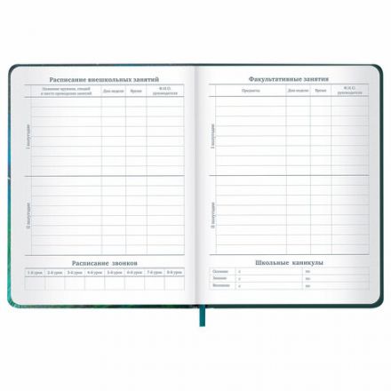 Дневник 1-11 класс 48 л., кожзам (твердая с поролоном), печать, резинка, конверт, BRAUBERG, "Мечты", 106949