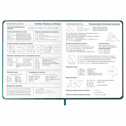 Дневник 1-11 класс 48 л., кожзам (твердая с поролоном), печать, резинка, конверт, BRAUBERG, "Мечты", 106949