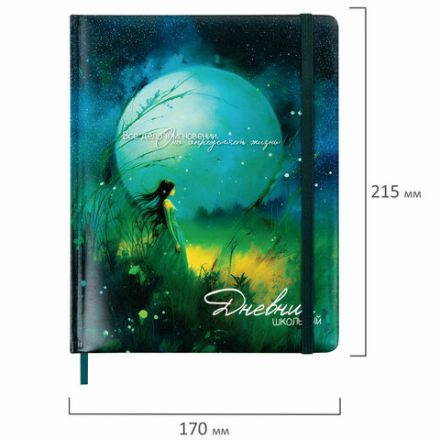 Дневник 1-11 класс 48 л., кожзам (твердая с поролоном), печать, резинка, конверт, BRAUBERG, "Мечты", 106949