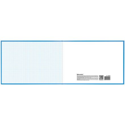 Книга учета 96 л., клетка, твердая, бумвинил, блок офсет, альбомная, А4 203х290 мм, BRAUBERG, 130074