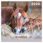 Календарь настенный перекидной 2026 г., BRAUBERG, 12 листов, 28,5х28,5 см, "Благородные лошади", 116932 Календарь настенный перекидной 2026 г., BRAUBERG, 12 листов, 28,5х28,5 см, "Благородные лошади", 116932