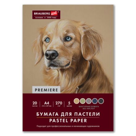 Бумага для пастели ФАКТУРНАЯ, А4, в папке, 20 листов, 5 цветов, 270 г/м2, BRAUBERG ART, 117755 Бумага для пастели ФАКТУРНАЯ, А4, в папке, 20 листов, 5 цветов, 270 г/м2, BRAUBERG ART, 117755