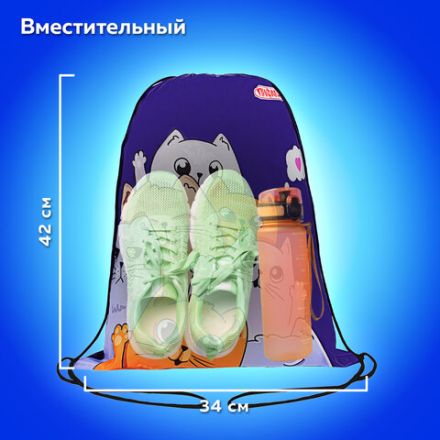 Мешок для обуви ПИФАГОР, 1 отделение, 42х34 см, "Cats greetings", 272382 Мешок для обуви ПИФАГОР, 1 отделение, 42х34 см, "Cats greetings", 272382