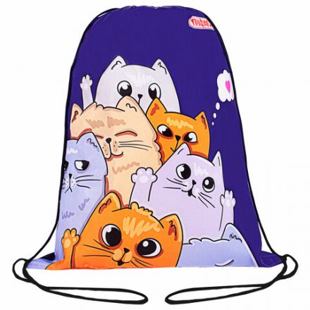 Мешок для обуви ПИФАГОР, 1 отделение, 42х34 см, "Cats greetings", 272382 Мешок для обуви ПИФАГОР, 1 отделение, 42х34 см, "Cats greetings", 272382