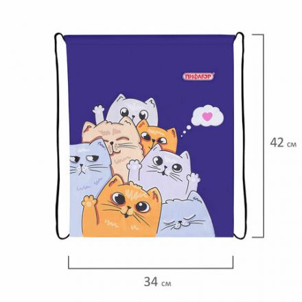Мешок для обуви ПИФАГОР, 1 отделение, 42х34 см, "Cats greetings", 272382 Мешок для обуви ПИФАГОР, 1 отделение, 42х34 см, "Cats greetings", 272382