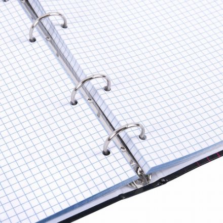 Тетрадь на кольцах А5 165х215 мм, 120 листов, твердый картон, клетка, BRAUBERG, "Anime Girl", 404711 Тетрадь на кольцах А5 165х215 мм, 120 листов, твердый картон, клетка, BRAUBERG, "Anime Girl", 404711