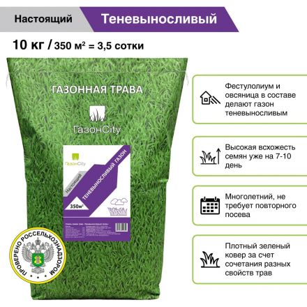 Семена газона Настоящий газон ТЕНЕВЫНОСЛИВЫЙ ГАЗОН 10кг, 82666639 Семена газона Настоящий газон ТЕНЕВЫНОСЛИВЫЙ ГАЗОН 10кг, 82666639
