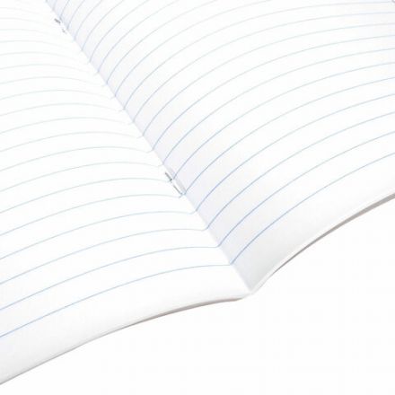 Тетрадь предметная "КОТ-ЭНТУЗИАСТ" 48 л., TWIN-лак, ЛИТЕРАТУРА, линия, подсказ, BRAUBERG, 404564 Тетрадь предметная "КОТ-ЭНТУЗИАСТ" 48 л., TWIN-лак, ЛИТЕРАТУРА, линия, подсказ, BRAUBERG, 404564