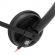 Наушники с микрофоном Oklick HS-L900 черный 1.6м накладные (1532022)