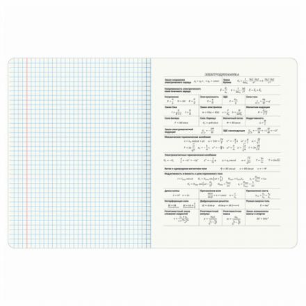 Тетрадь предметная "КОТ-ЭНТУЗИАСТ" 48 л., TWIN-лак, ФИЗИКА, клетка, подсказ, BRAUBERG, 404566