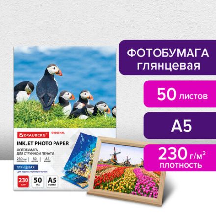 Фотобумага глянцевая, А5, 230 г/м2, односторонняя, 50 листов, BRAUBERG ORIGINAL, 363977 Фотобумага глянцевая, А5, 230 г/м2, односторонняя, 50 листов, BRAUBERG ORIGINAL, 363977