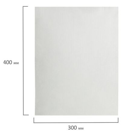 Салфетка одноразовая белая в рулоне 100 шт., 30х40 см, спанлейс 40 г/м2, ЧИСТОВЬЕ, 601-795 Салфетка одноразовая белая в рулоне 100 шт., 30х40 см, спанлейс 40 г/м2, ЧИСТОВЬЕ, 601-795