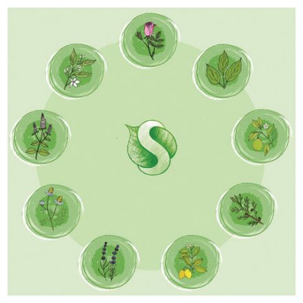 Средство для мытья пола и поверхностей 1 л SYNERGETIC, c дезинфицирующим эффектом, биоразлагаемое, 101100 Средство для мытья пола и поверхностей 1 л SYNERGETIC, c дезинфицирующим эффектом, биоразлагаемое, 101100