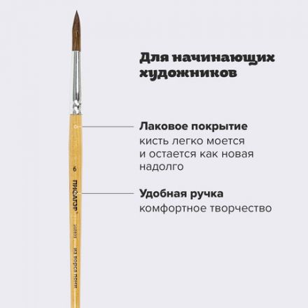Кисть ПИФАГОР, ПОНИ, круглая, № 6, деревянная лакированная ручка, колпачок, пакет с подвесом, 200835 Кисть ПИФАГОР, ПОНИ, круглая, № 6, деревянная лакированная ручка, колпачок, пакет с подвесом, 200835