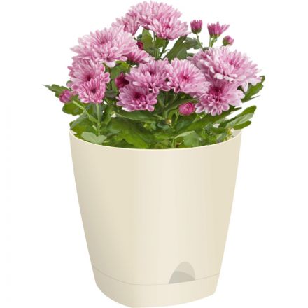 Горшок для цветов AMSTERDAM D 250 ,8 л Сливочный ING6202СЛ Горшок для цветов AMSTERDAM D 250 ,8 л Сливочный ING6202СЛ