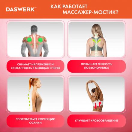 Массажер для спины/мостик для растяжки PREMIUM, 3 уровня нагрузки, красная вставка, DASWERK (ДАСВЕРК), 680034