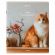 Тетрадь А5, 48 л., BRAUBERG, скоба, клетка, матовая ламинация, "Cats", (микс в спайке), 405334 Тетрадь А5, 48 л., BRAUBERG, скоба, клетка, матовая ламинация, "Cats", (микс в спайке), 405334