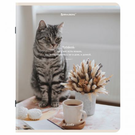 Тетрадь А5, 48 л., BRAUBERG, скоба, клетка, матовая ламинация, "Cats", (микс в спайке), 405334 Тетрадь А5, 48 л., BRAUBERG, скоба, клетка, матовая ламинация, "Cats", (микс в спайке), 405334