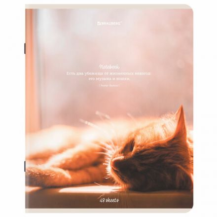 Тетрадь А5, 48 л., BRAUBERG, скоба, клетка, матовая ламинация, "Cats", (микс в спайке), 405334 Тетрадь А5, 48 л., BRAUBERG, скоба, клетка, матовая ламинация, "Cats", (микс в спайке), 405334
