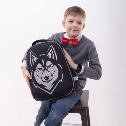 Ранец BRAUBERG SHINY, 2 отделения, с брелоком, "Husky", СВЕТЯЩИЙСЯ РИСУНОК, 38х28х14 см, 271383