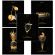 Тетрадь А5, 48 л., BRAUBERG, скоба, клетка, матовая ламинация, фольга, "Black&Gold" (микс в спайке), 404370