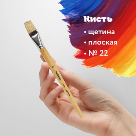 Кисть ПИФАГОР, ЩЕТИНА, плоская, № 22, деревянная лакированная ручка, пакет с подвесом, 200880 Кисть ПИФАГОР, ЩЕТИНА, плоская, № 22, деревянная лакированная ручка, пакет с подвесом, 200880