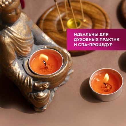 Свечи чайные Standard, до 3,5 часов горения, вес 9 г, КОМПЛЕКТ 50 шт., в гильзе, LAIMA, 609197 Свечи чайные Standard, до 3,5 часов горения, вес 9 г, КОМПЛЕКТ 50 шт., в гильзе, LAIMA, 609197