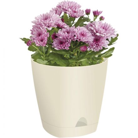 Горшок для цветов AMSTERDAM D 170, 2,5 л Сливочный ING6200СЛ ING6200СЛ Горшок для цветов AMSTERDAM D 170, 2,5 л Сливочный ING6200СЛ ING6200СЛ