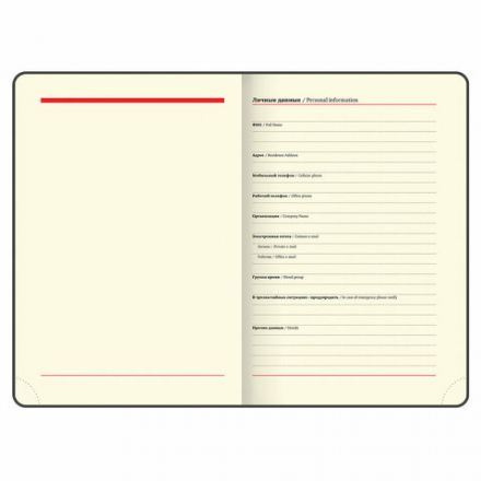 Ежедневник недатированный А5 (138х213 мм), BRAUBERG VISTA, под кожу, гибкий, 136 л., "Good old England", 112010 Ежедневник недатированный А5 (138х213 мм), BRAUBERG VISTA, под кожу, гибкий, 136 л., "Good old England", 112010