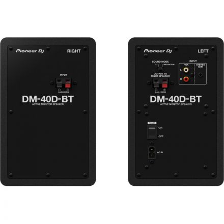 Акустическая система Pioneer DJ DM-40D-BT