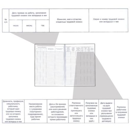 Книга учета движения трудовых книжек и вкладышей к ним, 48 л., картон, блок офсет, А4 210х290 мм, 52277, 130054